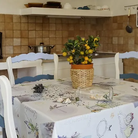Résidence Les Mandariniers Appart hôtel Hyères
